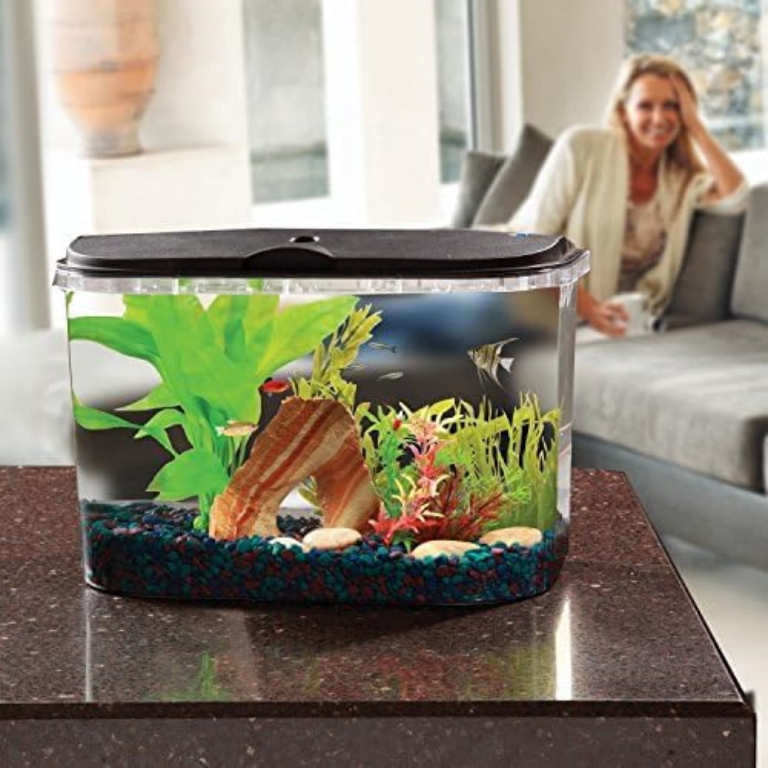 5-Gallon Aquarium Kit with LED Lighting and Power Filter, Ideal for a Variety of Tropical Fish