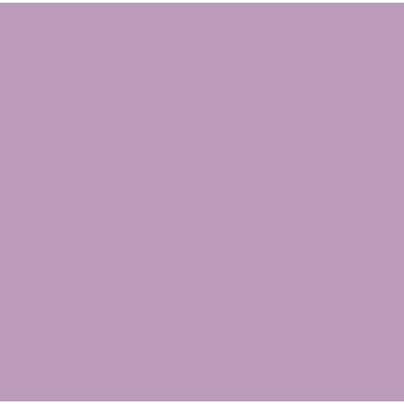 Ultimate Skin Spa System - Not Ur Mom's Purple