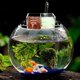 thumbnail image 2 of Caja De Externa De Peces Accesorios Herramineta Fácil Instalación De Pecera Elegante METRO Yinane Filtro de tanque de peces de acuario, 2 of 8