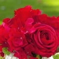 thumbnail image 3 of Enova Home Mixed Artificial Silk Hydrangea and Roses Faux Flowers Arrangement in Ceramic Pot for Home Office Wedding Decoration (Red), 3 of 4