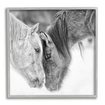 Stupell Industries Horse Hug Photography Animals & Insects Photography Gray Framed Art Print Wall Art, 12 x 12
