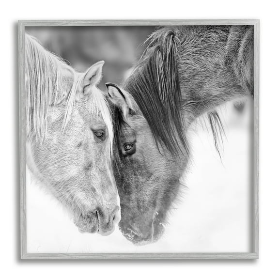 Stupell Industries Horse Hug Photography Animals & Insects Photography Gray Framed Art Print Wall Art, 12 x 12