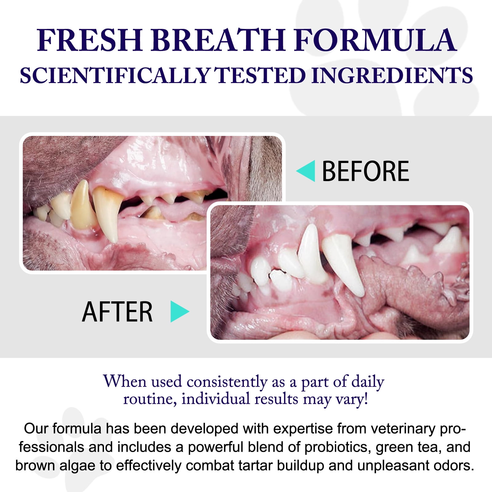 Petpya Dog Dental Powder, Dental Powder for Dogs Teeth,Removes Plaque,Prevents Tartar,Dog Breath Freshener,Dental Care for Dogs,Improve Pet's Oral Cavity,Natural Herbal Blend,Teeth Cleaning Made Easy