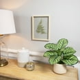 thumbnail image 2 of Northlight Artificial Fern Leaf Wooden Framed Wall Art - 11.75", 2 of 7