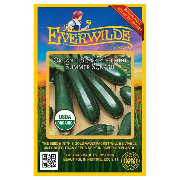 Everwilde Farms - 20 Organic Black Zucchini Summer Squash Seeds - Gold Vault Jumbo Bulk Seed Packet