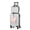 Silver, variant on 2-Piece Luggage Set Carry On Suitcase with 14" Makeup Case