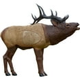 thumbnail image 2 of Rinehart Signature Series 1/3 Scale Elk 3D Archery Target, 2 of 2