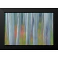 thumbnail image 2 of Mahan, Kathy 14x11 Black Modern Framed Museum Art Print Titled - Aspen in Motion II, 2 of 5