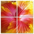 thumbnail image 3 of 24" Multicolor Canvas 4 Panels Hibiscus Photo, 3 of 3