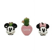 Disney Succulent Trio by Celebrate Together, Multicolor