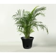 thumbnail image 3 of Lazy Planters 2 x 10" - Self Watering Plant Pot Black - Large Planter - Indoor & Outdoor, 3 of 6