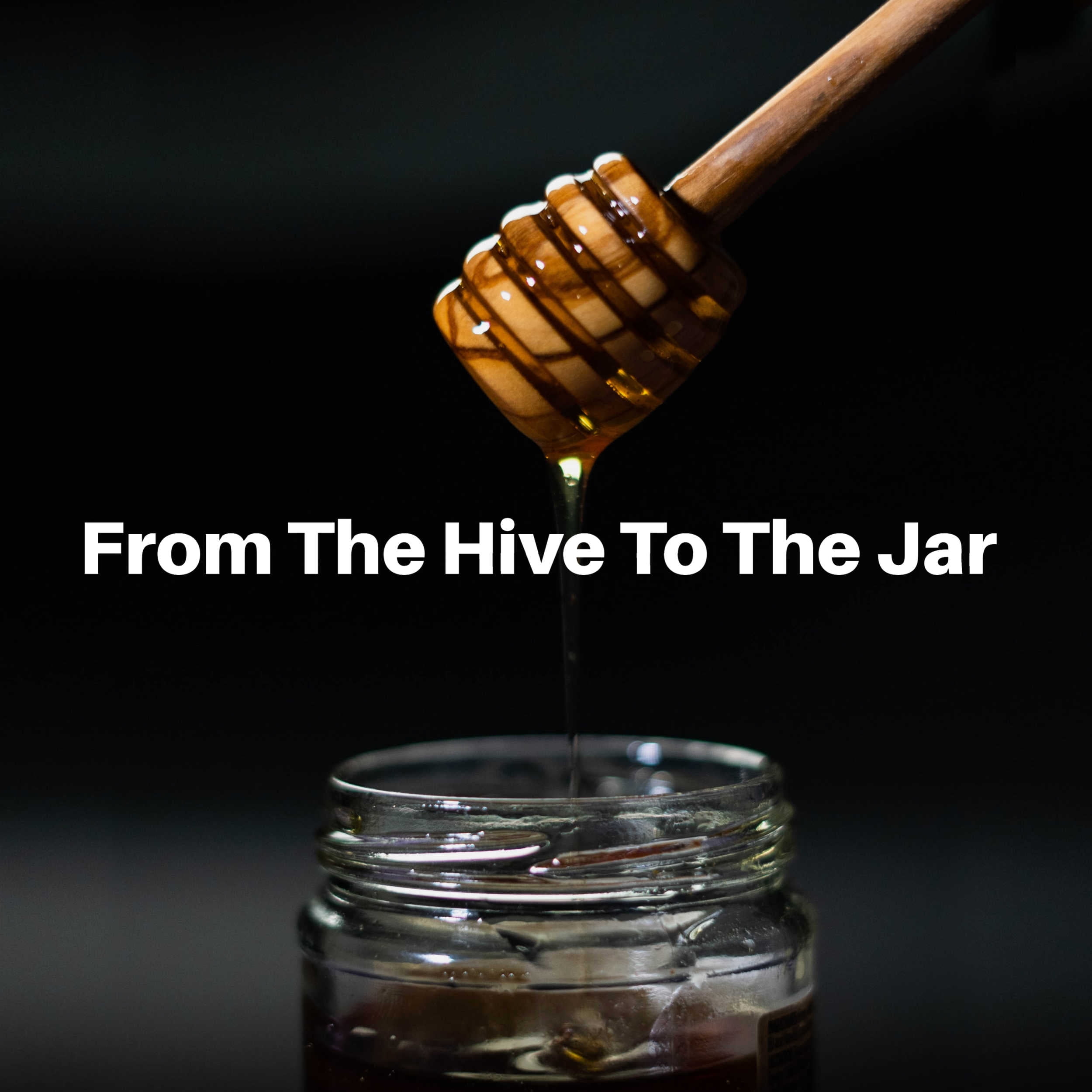 HoneyPlusCo | 100% Natural Raw Unfiltered Honey - Wildflower (16 OZ)