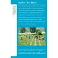 thumbnail image 3 of Traditional Medicinals EveryDay Detox Detox Tea Made with organic ingredients, 16 CT (Pack - 6), 3 of 5