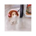thumbnail image 3 of A Pet Cute Wind Braid Head Set Spring And Autumn Dog Headwear Cat Head Set, 3 of 5