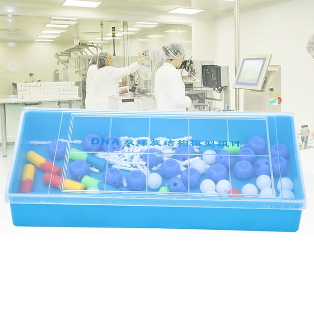 Modelo de ADN para enseñanza, modelo de ADN de doble hélice educativo para ciencias, modelo de ADN biológico, estética elegante