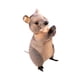 thumbnail image 5 of Juguete de peluche, juguete de peluche suave, coleccionable, regalo, juguete de peluche animal, relleno, 5 of 9