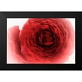 thumbnail image 2 of Stalus, Judy 24x17 Black Modern Framed Museum Art Print Titled - Velvet, 2 of 5