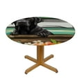 thumbnail image 3 of JEUXUS  Rustic Farm Round Table Cloth Birds Standing Farmhouse Dogs Head Country Truck Fitted Elastic Edge Cover Table Cloths Table Cover Fits Tables Diameter Turquoise, 3 of 7