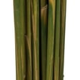 thumbnail image 4 of Vickerman 36" Brown Plume Reed Bundle, (30-40 stems), Preserved, 4 of 5
