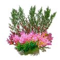 thumbnail image 2 of Guiexla Simulation Water Grass Artificial Aquatic Plants Realistic Colors DIY Fish Tank Decor Easy Care Fish-safe Aquarium Decorative Accessories for Landscaping, 2 of 8
