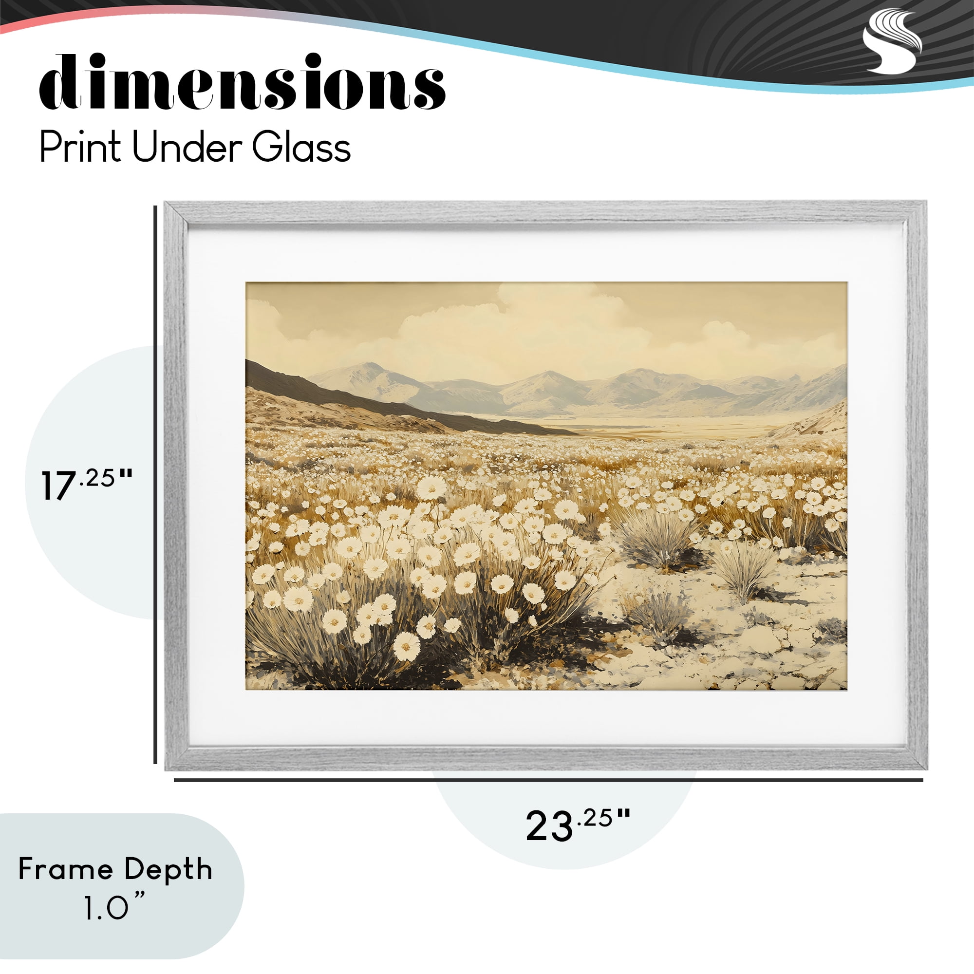 Stupell Industries Desert Wildflowers in Golden Valley Gray Framed Print Under Glass, design by Franklyn Gregory