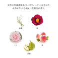 thumbnail image 3 of SHISEIDO TSUBAKI Smooth Shampoo, 3 of 5