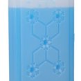 thumbnail image 5 of Outdoor Portable Freezer Picnic Camping Travel Fruit Cooler Box Reusable Ice Pack 600ML, 5 of 5
