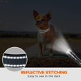 thumbnail image 5 of Collar reflectante para perro con cierre de seguridad, collar ajustable de nailon para mascotas para cachorros MFZFUKR CPB-US-YY79-2, 5 of 5