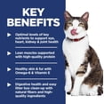 thumbnail image 5 of NaturPet Intesti Care Powder Supplement for Dogs & Cats, 165-g jar, 5 of 5
