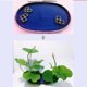 thumbnail image 4 of Maceta de Flor Macetero de Plantas Sostenedor de Flores para Arte Hogar Plantas 3 anillos, 4 of 9