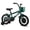 Green, variant on RULLY 12 Inch Dinosaur Kids Bike for Boys 2-4 Years, Bicycle with Training Wheels, Basket & Coaster Brake, Green