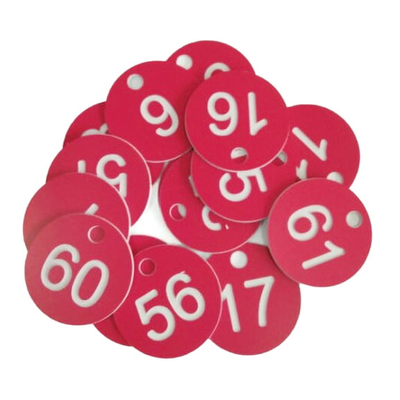 Number Tags 1-100 Numbered Labeling Tags with Hole Easy Fastened 100PCS Plastic for Key Tags Identification Tags for Loc
