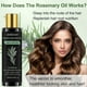 thumbnail image 2 of Rosemary Infused Hair Thickening Shampoo with Hydrolyzed Keratin for Repair and Strength, 2 of 2