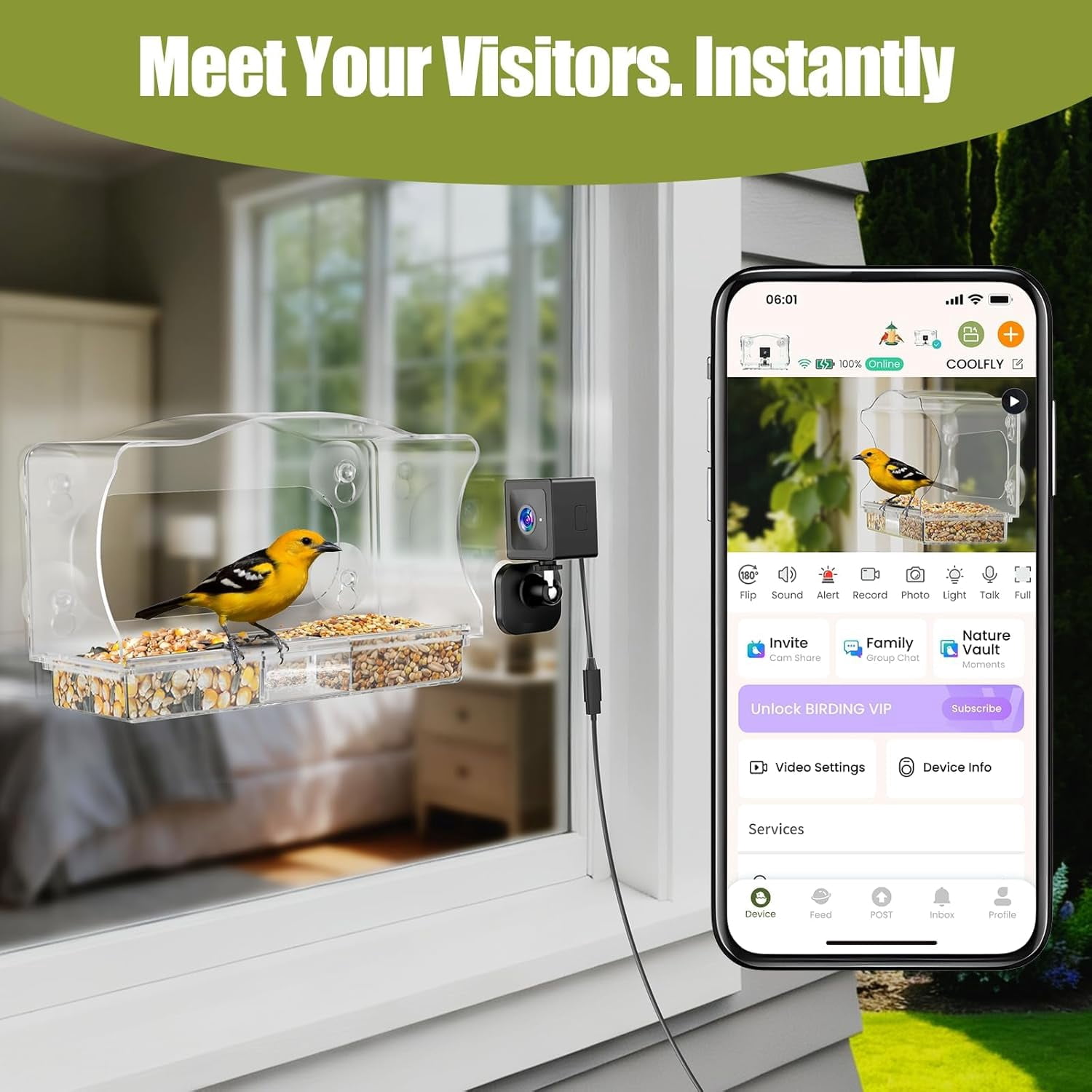Coolfly x Freeseason Smart Window Bird Feeder with 2K HD Camera, Suction Cup Mount for Apartments, Anti-Glare Video with AI Species ID & No Monthly Fees - Modern Flat Top Design