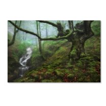 Trademark Fine Art 'The Enchanted Forest' Canvas Art by Fran Osuna