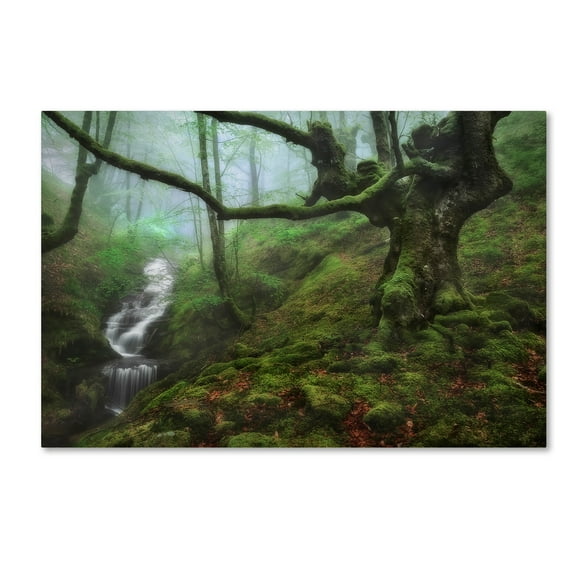 Trademark Fine Art 'The Enchanted Forest' Canvas Art by Fran Osuna