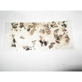 thumbnail image 3 of 8 pk Economy All Insect Traps Glue Boards Window Strips Fly Bees Wasps Asian Beetles, 3 of 10