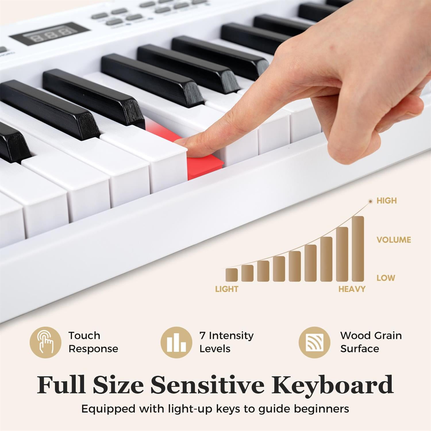 Demifill Home & Stage 88-Key Keyboard Piano Set, 800 Timbres & 600 Rhythms, Adjustable Stand, Black