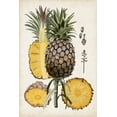 thumbnail image 2 of McCavitt, Naomi 17x24 Gold Ornate Wood Framed with Double Matting Museum Art Print Titled - Pineapple Botanical Study II, 2 of 4