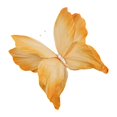 thumbnail image 2 of yotijay Artificial Butterfly Decoration DIY Giant Butterfly for Wedding Bedroom Wall Orange, 2 of 9