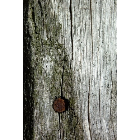 LAMINATED POSTER Fence Nail Ancient Old Wood Used Particular Door Poster Print 24 x