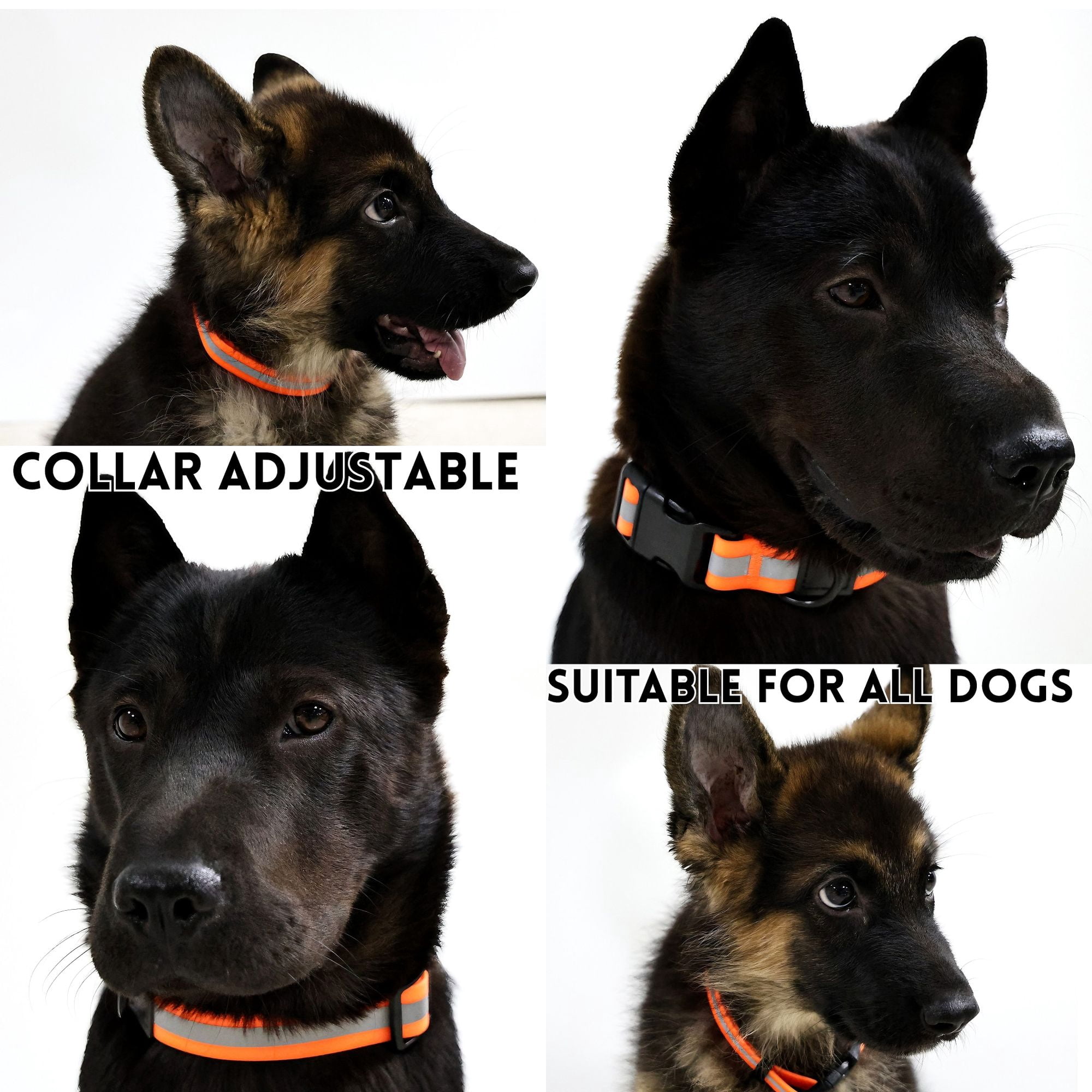 Reflective PVC Dog Leash & Collar Set | Waterproof Heavy Duty Safety Lead