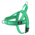 thumbnail image 5 of Easywalk, correa para el pecho para perros medianos y pequeños a prueba de explosiones, correa para el pecho para perros, correa y tracción para perros estilo chaleco Golden Retriever transpirable, 5 of 5
