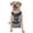 With Accessories, variant on Vsdgher Sailing Cruises Nautical Pattern Dog Harness,No Pull Pet Harness with Soft Padded Handle,Adjustable Reflective Vest with 2 Buckles,4 Slide Buckles,S-XL Large