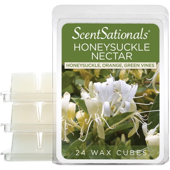 Aroma de néctar de madreselva Wax Melts Scentsationals, 300 ml (24 cubos)