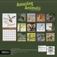 thumbnail image 4 of Trends International 2026 Amusing Animals Wall Calendar & Push Pins, 4 of 5
