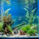 thumbnail image 4 of CRAFTHROU 2Ud Para Acuario Con Rocas Artificiales En Resina Y Detalles Realistas Para, 4 of 6