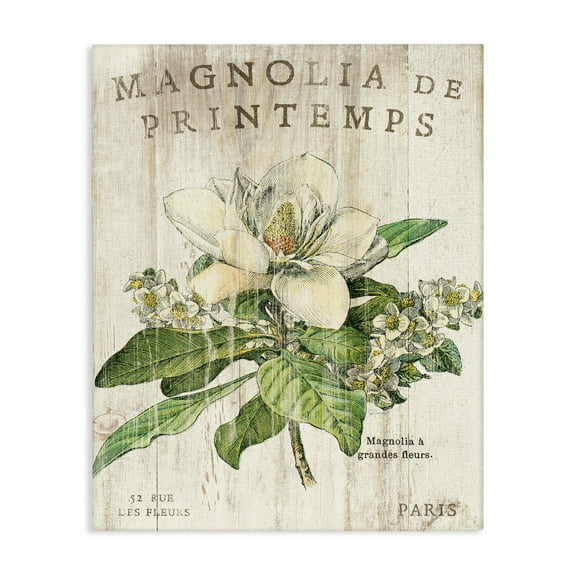 Stupell Industries French Magnolias In Spring Canvas Wall Art