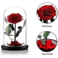 thumbnail image 4 of Preserved Real Rose Eternal Rose In Glass Dome Gift For Her Thanksgiving Christmas Valentine's Day Birthday Mother's Day (red)bebetter Red, 4 of 5