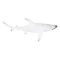 thumbnail image 6 of Nautical Ocean Marine Great White Shark Swimming Antiqued White Figurine 19.5"L, 6 of 9